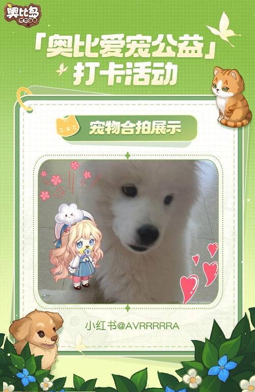 小奥比与宠物可爱合拍图10