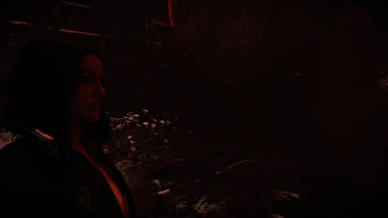 《星球大战：亡命之徒》Mod截图