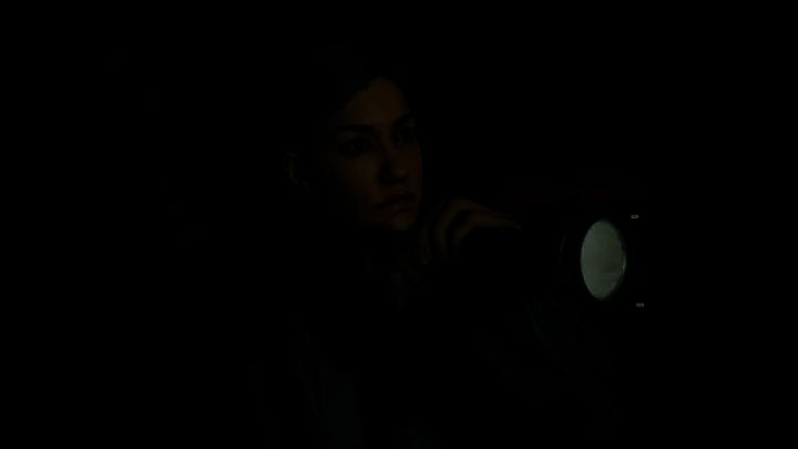 Remedy 工作室开发项目相关图片