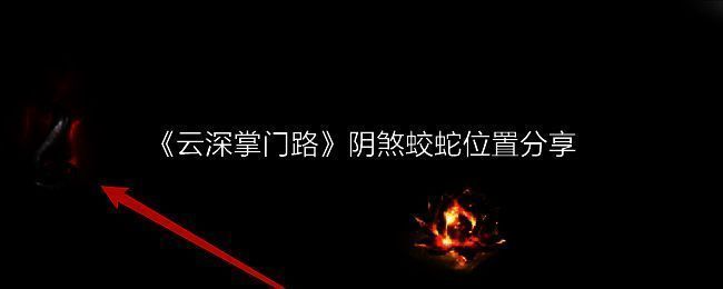 云深掌门路相关配图