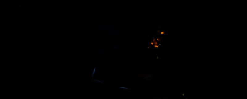 Dinkum游戏中的水母图片