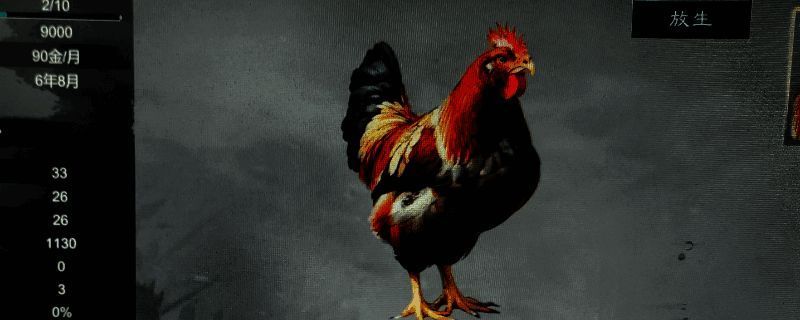 《英雄立志传：三国志》斗鸡相关图片1