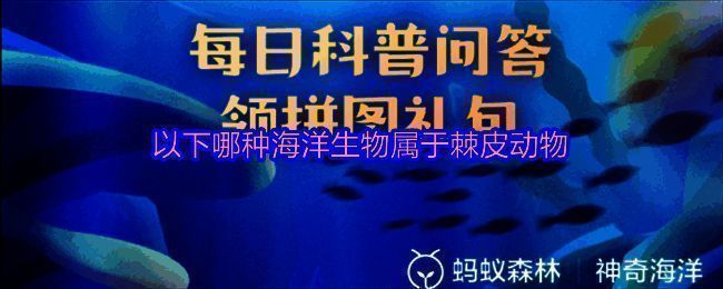 神奇海洋相关图片1