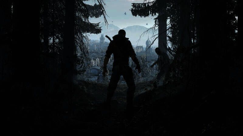 《消逝的光芒：困兽》相关画面1