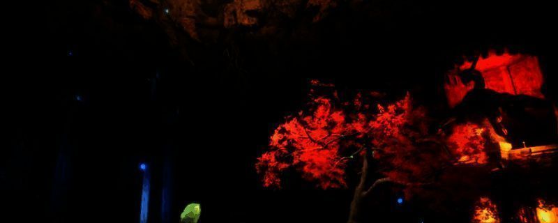 幻兽帕鲁菇咚相关图片1