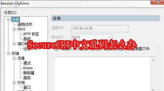 SecureCRT相关界面图1