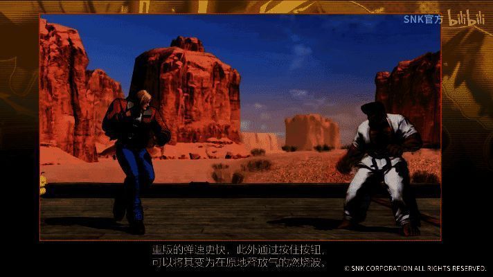 特瑞地波招式画面