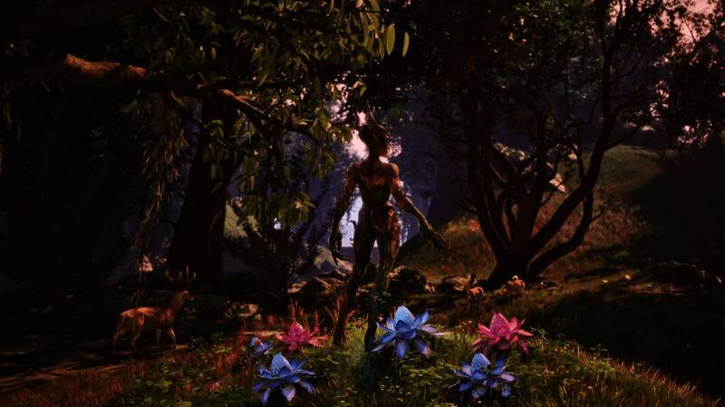 《上古卷轴4：湮灭重制版》相关资讯配图