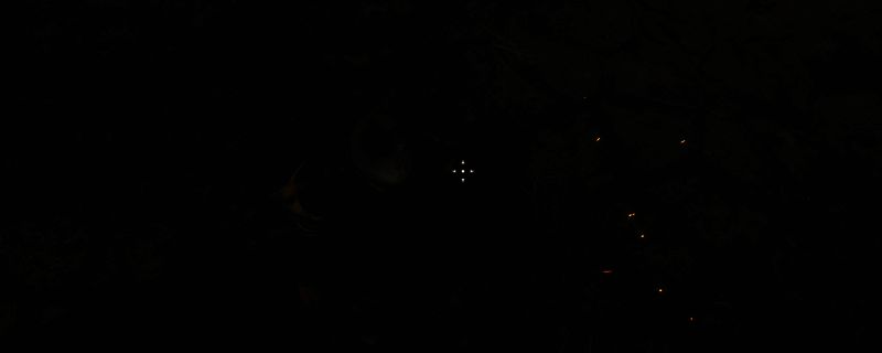 《上古卷轴4：湮灭重制版》游戏画面相关图片