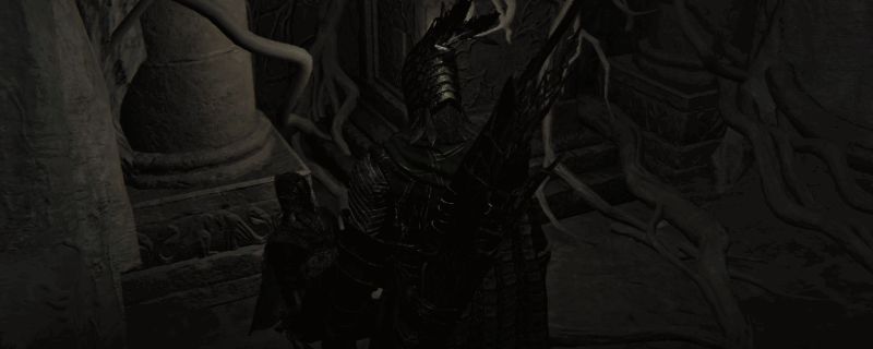 艾尔登法环黑夜君临铁眼游戏画面