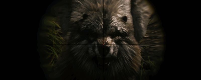 荒野大镖客2打猎场景图