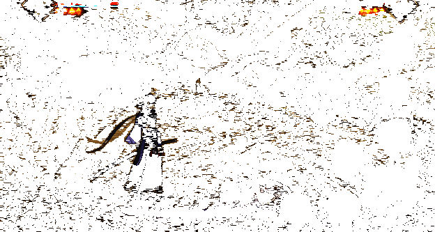 常态下地面普攻动作展示，包括火炎阵发动特效