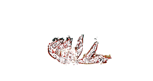 六尾鸣人整体技能展示的震撼收尾画面