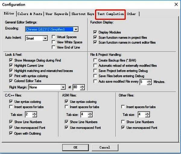 Configuration窗口内的标签页，Text Complation选项卡被激活