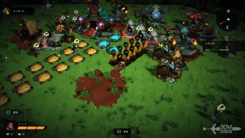 南瓜田中成熟的南瓜等待采摘，阳光洒落在农田上