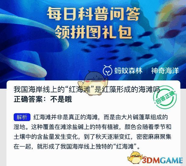 红海滩相关配图3