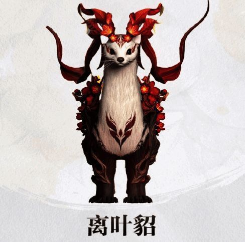 离叶貂形象图
