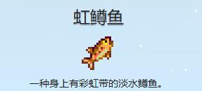虹鳟鱼图片