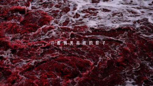 《星际 52 区》与南天门计划联动宣传图2