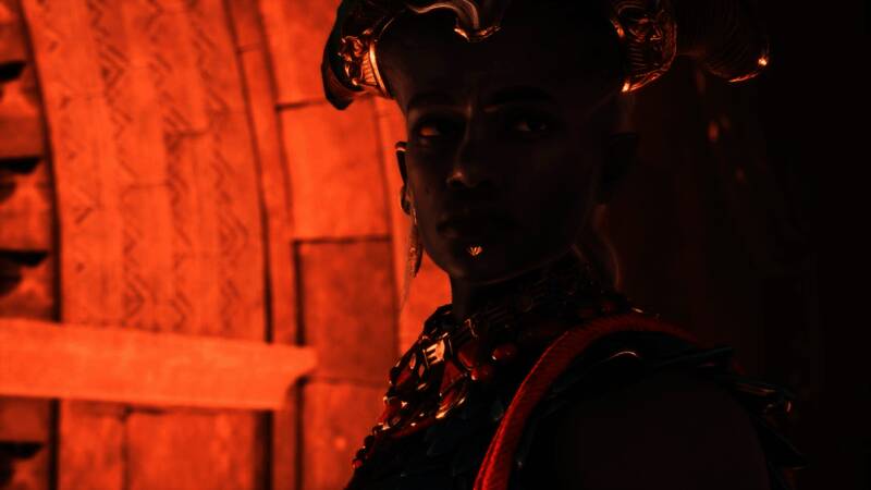 《龙腾世纪：影障守护者》相关画面