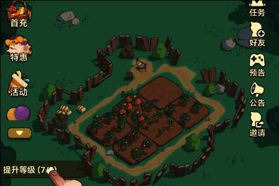 冰百宝石相关图片