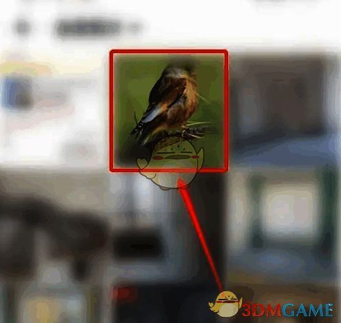 心遇APP选择图片截图