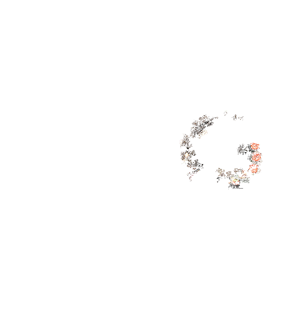 活动动态展示图