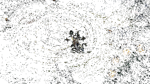 须佐之男三技能神之领域展示