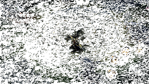 须佐之男终极技能天羽羽斩展示