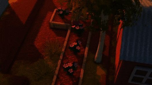 金垦小镇游戏截图1