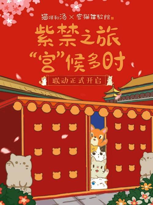 宫猫体验馆活动宣传图