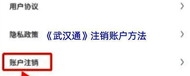武汉通APP相关页面示例图