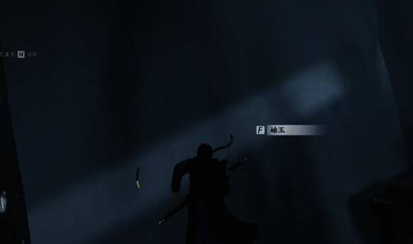 龟龄鹤寿花钱瀑布内部图