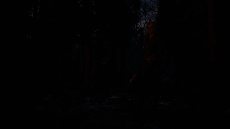 《巫师 4》开发团队相关场景