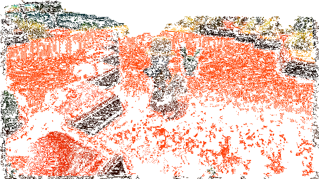 金垦小镇Dinkum钓鱼捉虫动态画面