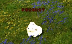 见兔放鹰活动图片1