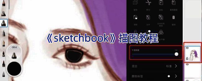 SketchBook描图过程相关展示图