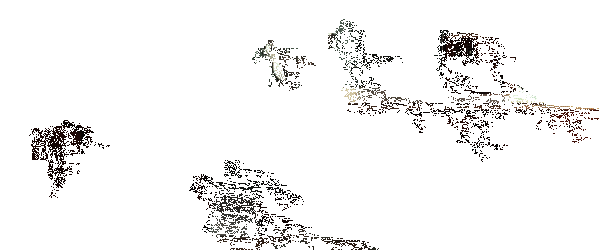 废城喵游记游戏动态画面3