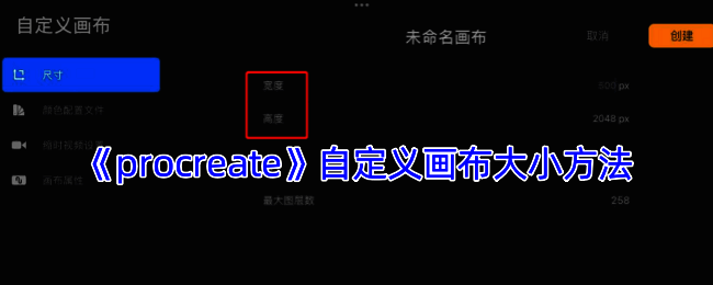 Procreate自定义画布相关界面示例图