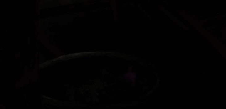 工作室火盆场景图片