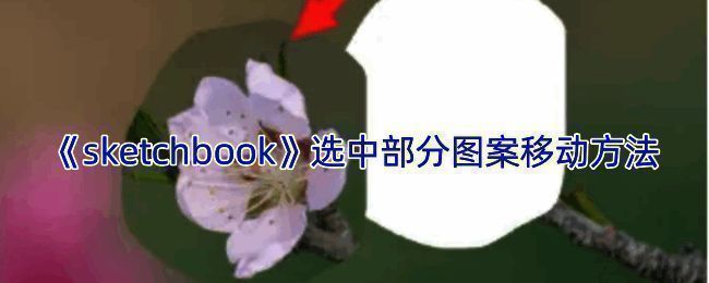 Sketchbook软件界面相关图