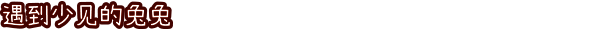兔兔岛游戏画面6