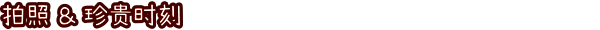 兔兔岛游戏画面8