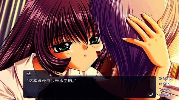 《AIR》游戏相关图片5