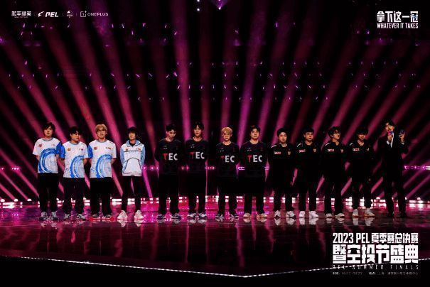 晋级全球总决赛战队信息画面