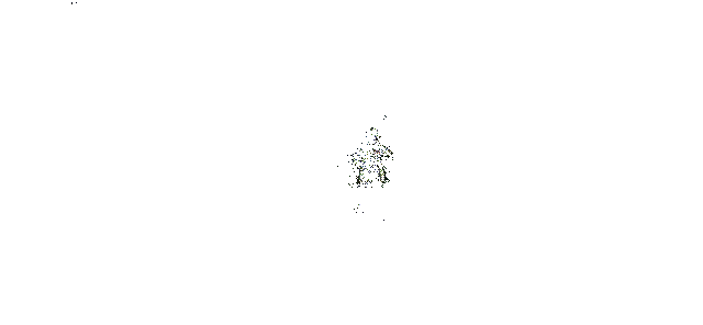 油女志乃普攻技能展示动图