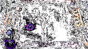 阿萝拉实战效果动图