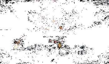 秦川奥义技能动图