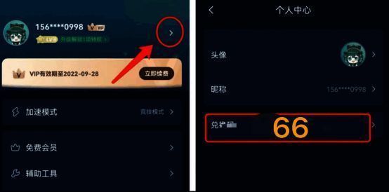 迅游加速器个人中心输入66领会员图片