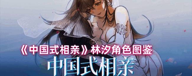 《中国式相亲》相关配图